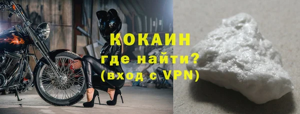 амф Верея