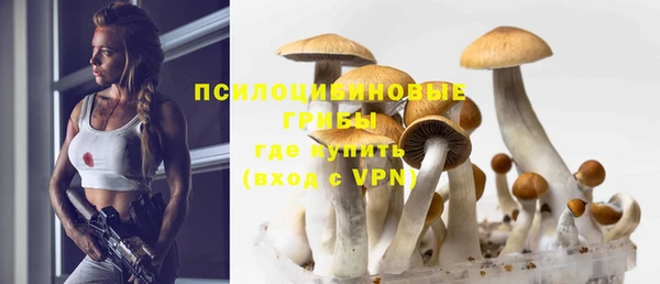 эйфоретик Бугульма