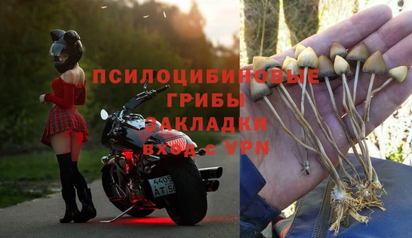 ALPHA-PVP Верхний Тагил
