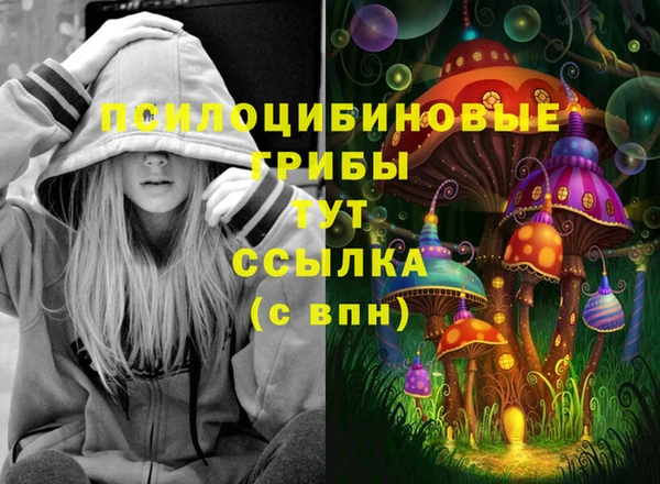 эйфоретик Бугульма