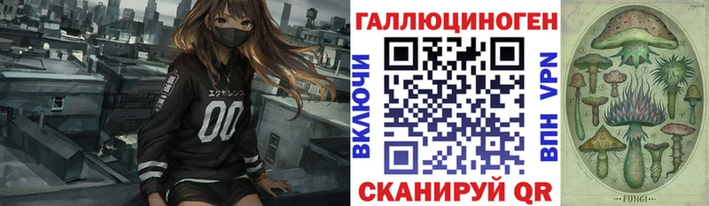 где купить наркотик  Нижний Новгород  Галлюциногенные грибы Psilocybine cubensis 